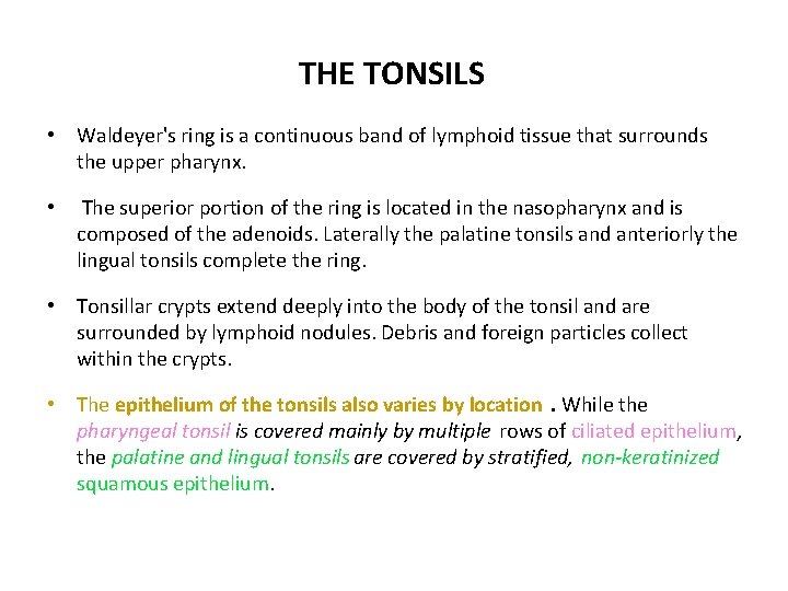 THE TONSILS • Waldeyer's ring is a continuous band of lymphoid tissue that surrounds