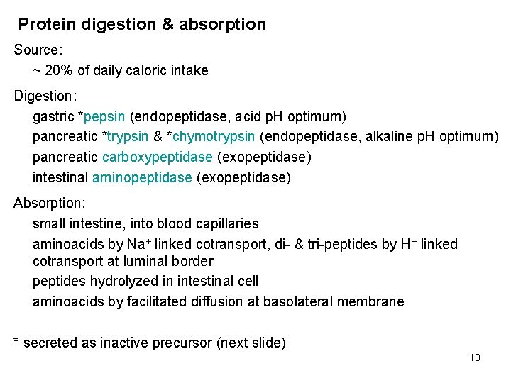 Protein digestion & absorption Source: ~ 20% of daily caloric intake Digestion: gastric *pepsin