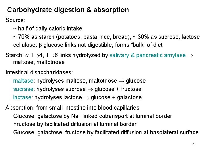 Carbohydrate digestion & absorption Source: ~ half of daily caloric intake ~ 70% as