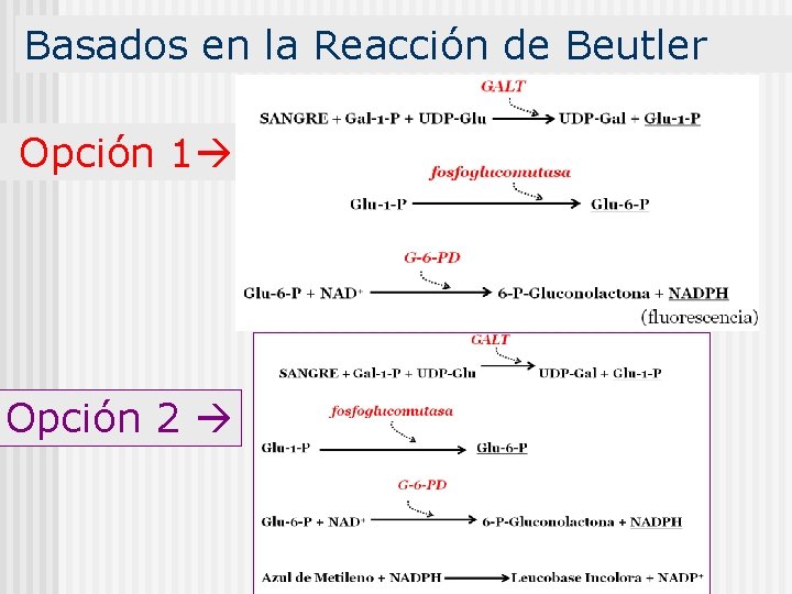 Basados en la Reacción de Beutler Opción 1 Opción 2 