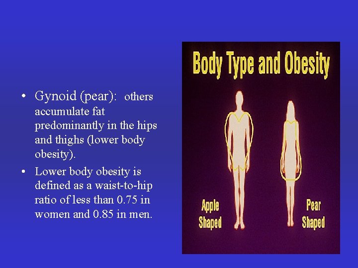  • Gynoid (pear): others accumulate fat predominantly in the hips and thighs (lower