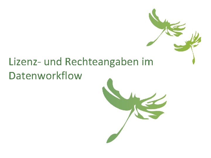 Lizenz- und Rechteangaben im Datenworkflow 