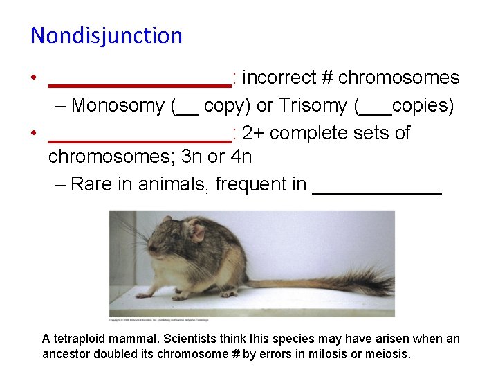 Nondisjunction • _________: incorrect # chromosomes – Monosomy (__ copy) or Trisomy (___copies) •