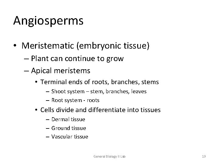 Angiosperms • Meristematic (embryonic tissue) – Plant can continue to grow – Apical meristems