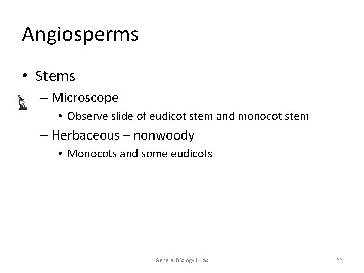Angiosperms • Stems – Microscope • Observe slide of eudicot stem and monocot stem