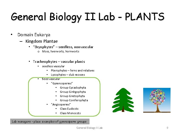 General Biology II Lab - PLANTS • Domain Eukarya – Kingdom Plantae • “Bryophytes”