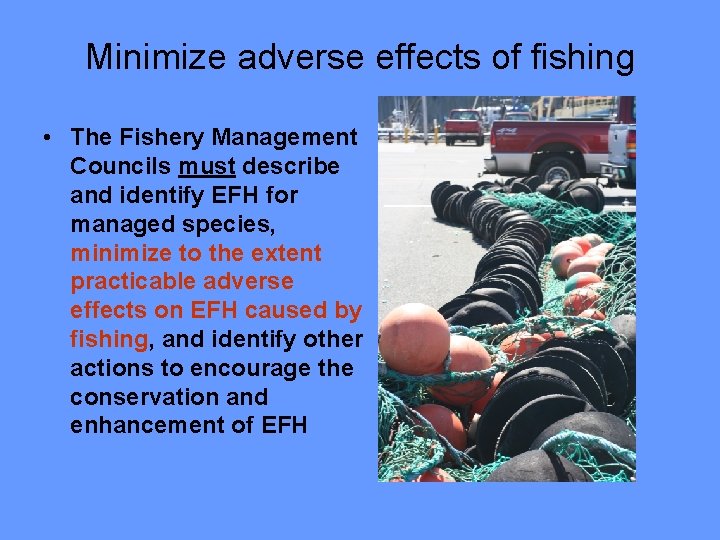 Minimize adverse effects of fishing • The Fishery Management Councils must describe and identify