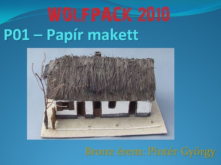 P 01 – Papír makett Bronz érem: Pintér György 