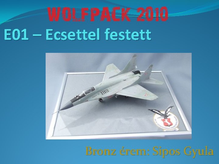 E 01 – Ecsettel festett Bronz érem: Sipos Gyula 