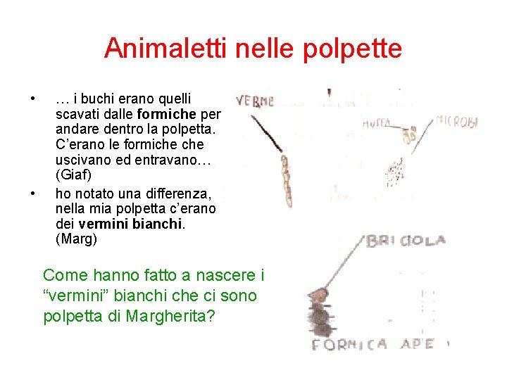 Animaletti nelle polpette • • … i buchi erano quelli scavati dalle formiche per