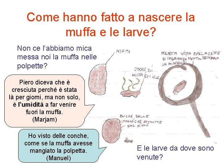 Come hanno fatto a nascere la muffa e le larve? Non ce l’abbiamo mica