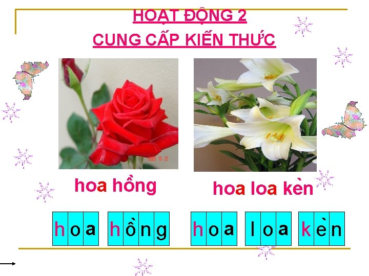 HOẠT ĐỘNG 2 CUNG C P KIÊ N THƯ C hoa hô ng hoa