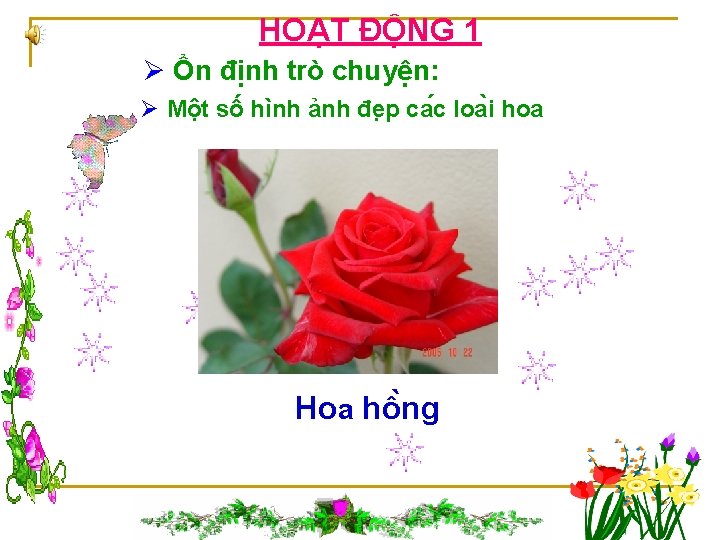 HOẠT ĐỘNG 1 Ø Ổn định trò chuyện: Ø Một số hình ảnh đe