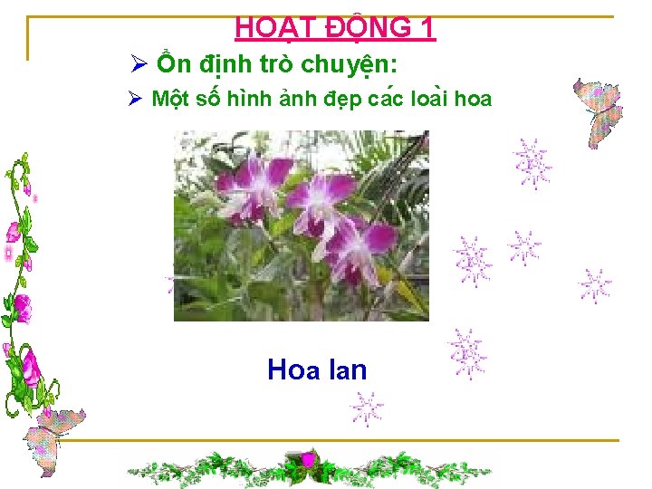 HOẠT ĐỘNG 1 Ø Ổn định trò chuyện: Ø Một số hình ảnh đe