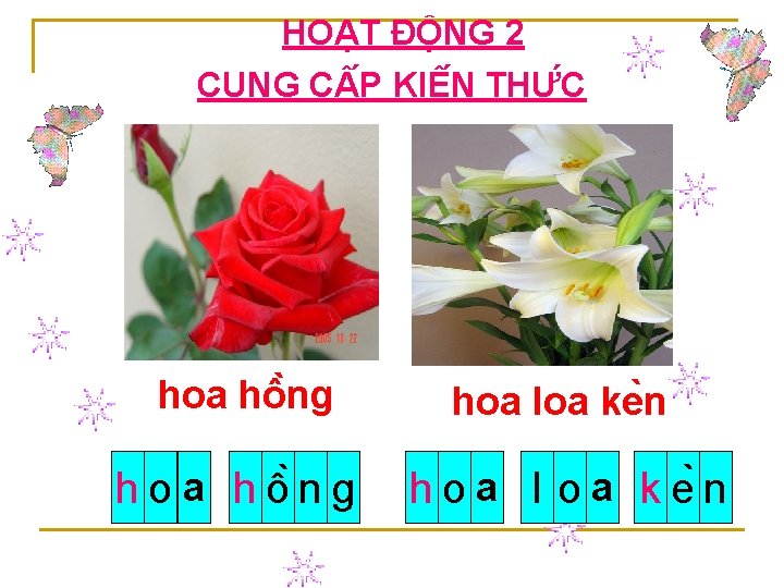 HOẠT ĐỘNG 2 CUNG C P KIÊ N THƯ C hoa hô ng hoa