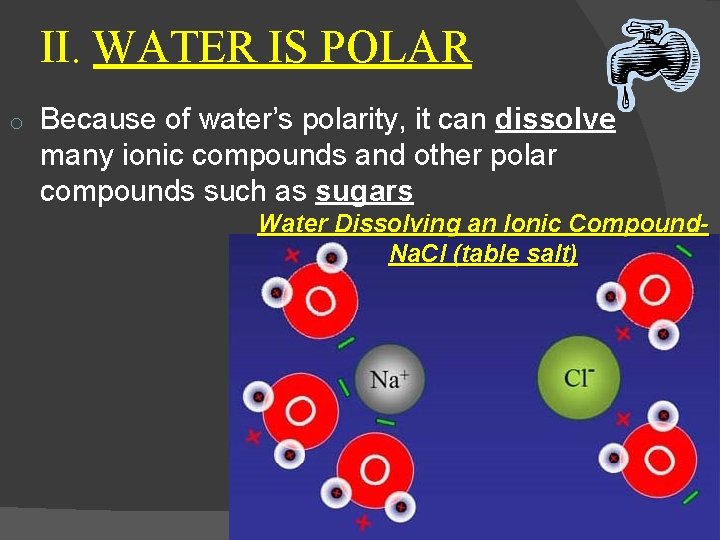 II. WATER IS POLAR o Because of water’s polarity, it can dissolve many ionic