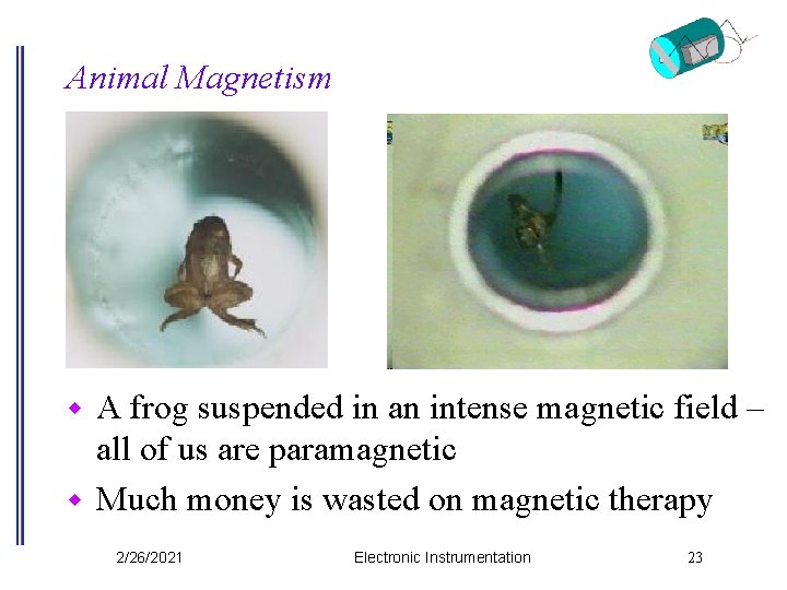 Animal Magnetism A frog suspended in an intense magnetic field – all of us