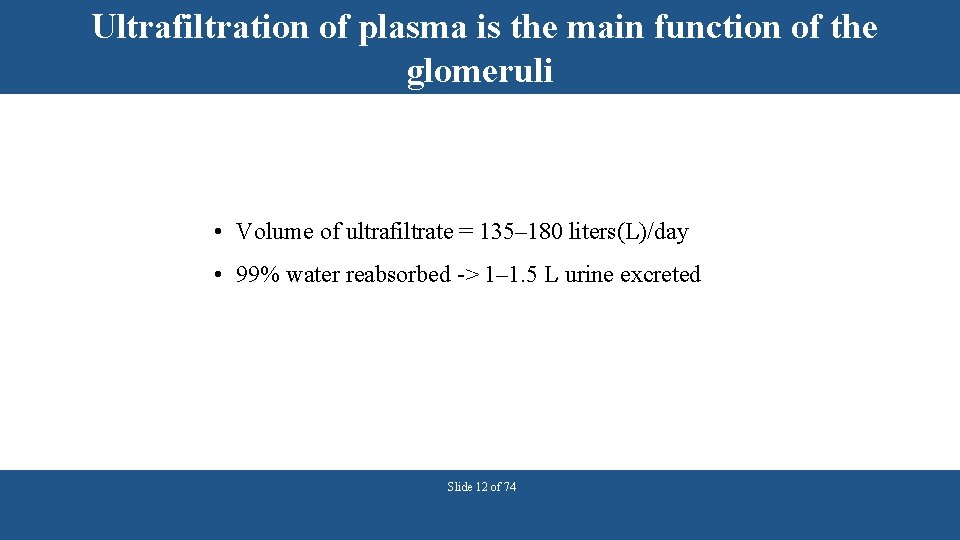 Ultrafiltration of plasma is the main function of the glomeruli • Volume of ultrafiltrate