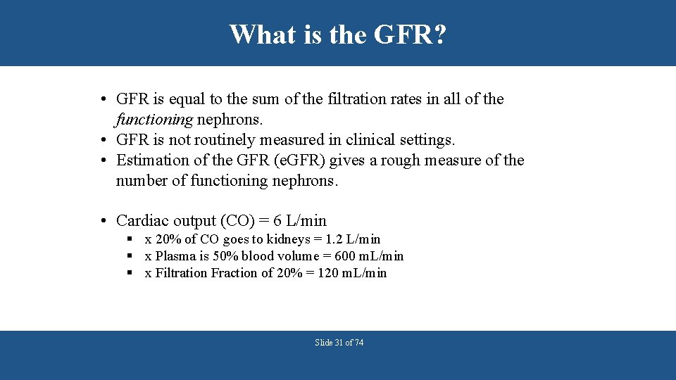 What is the GFR? • GFR is equal to the sum of the filtration