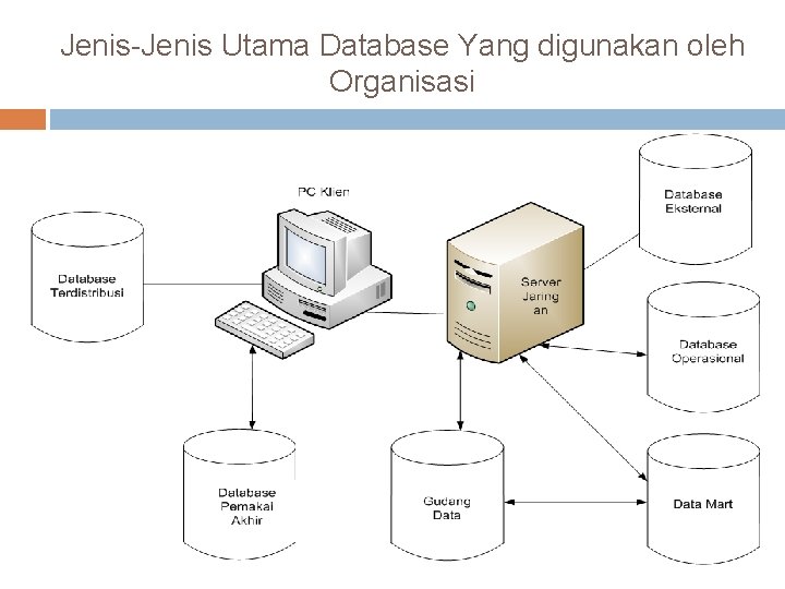 Jenis-Jenis Utama Database Yang digunakan oleh Organisasi Jenis-Jenis Utama Database Yang digunakan oleh Organisasi