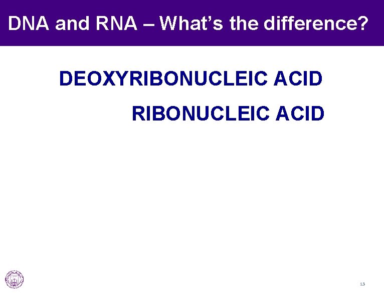 DNA and RNA – What’s the difference? DEOXYRIBONUCLEIC ACID 13 