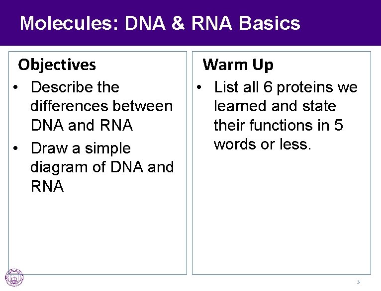 Molecules: DNA & RNA Basics Objectives • Describe the differences between DNA and RNA