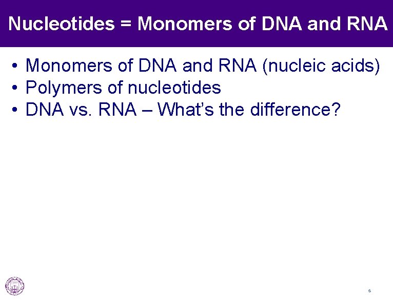 Nucleotides = Monomers of DNA and RNA • Monomers of DNA and RNA (nucleic