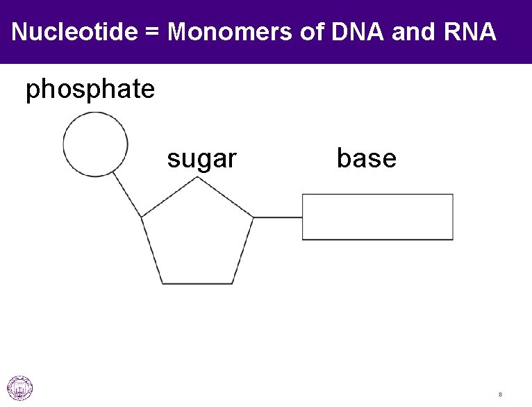 Nucleotide = Monomers of DNA and RNA phosphate sugar base 8 