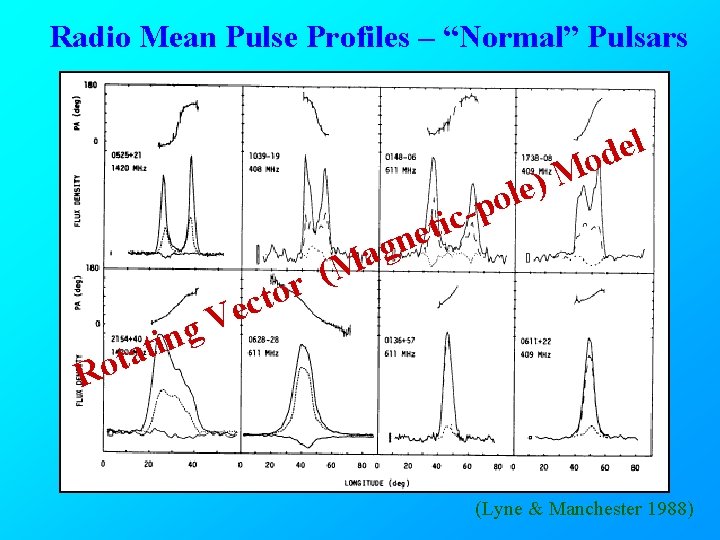 Radio Mean Pulse Profiles – “Normal” Pulsars l e d o R n i