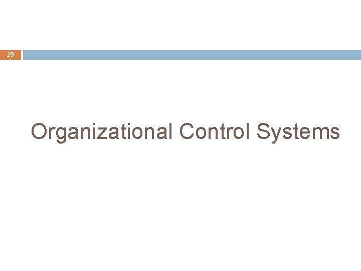 29 Organizational Control Systems 