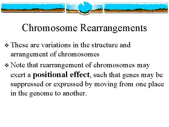 Chromosome Rearrangements v These are variations in the structure and arrangement of chromosomes v