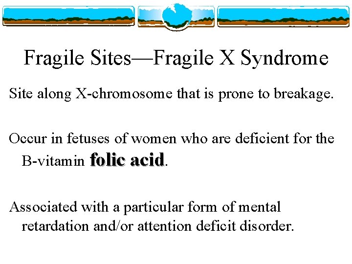 Fragile Sites—Fragile X Syndrome Site along X-chromosome that is prone to breakage. Occur in