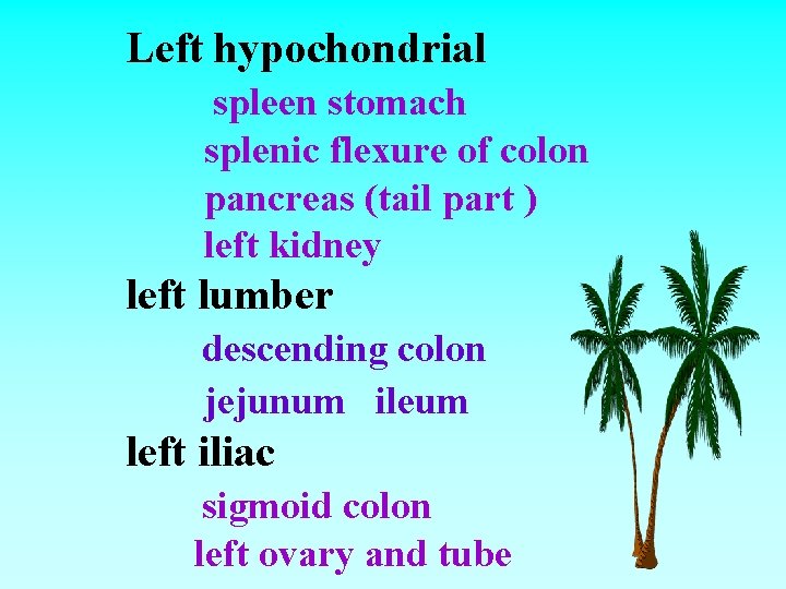 Left hypochondrial spleen stomach splenic flexure of colon pancreas (tail part ) left kidney