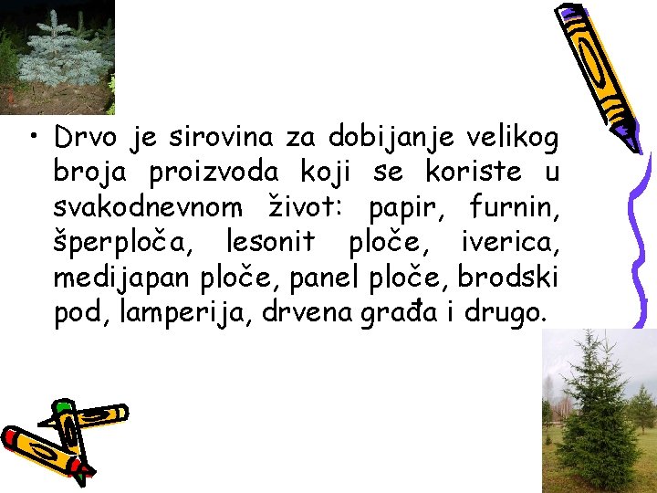  • Drvo je sirovina za dobijanje velikog broja proizvoda koji se koriste u