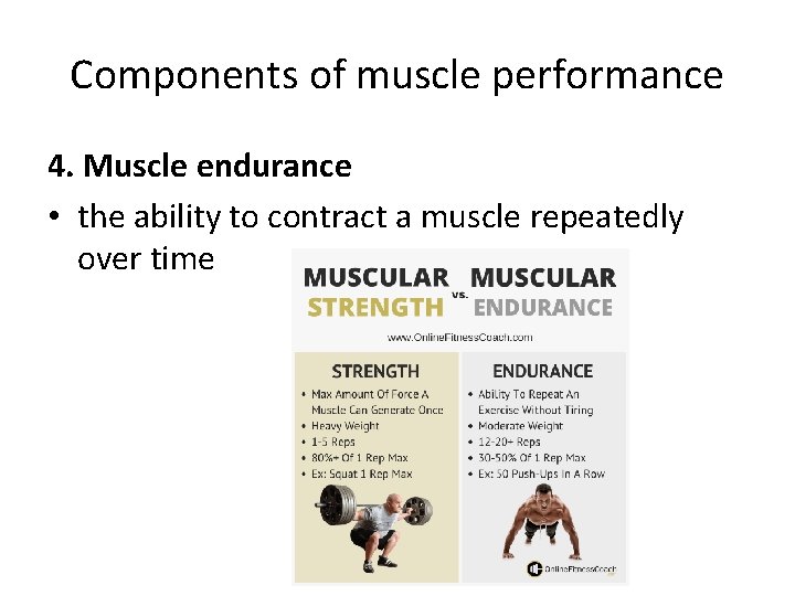 Components of muscle performance 4. Muscle endurance • the ability to contract a muscle