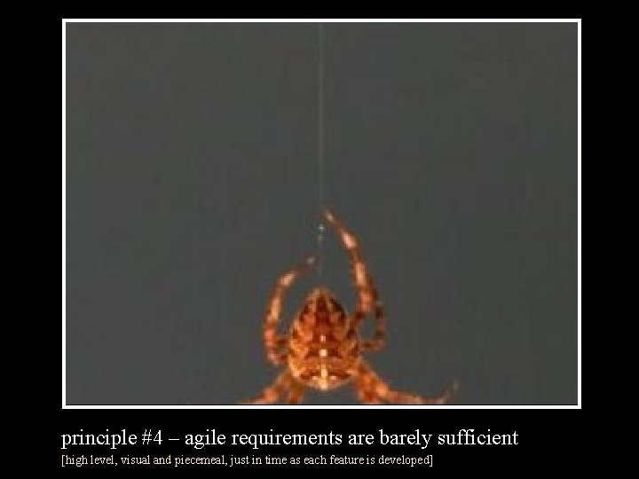 principle #4 – agile requirements are barely sufficient [high level, visual and piecemeal, just