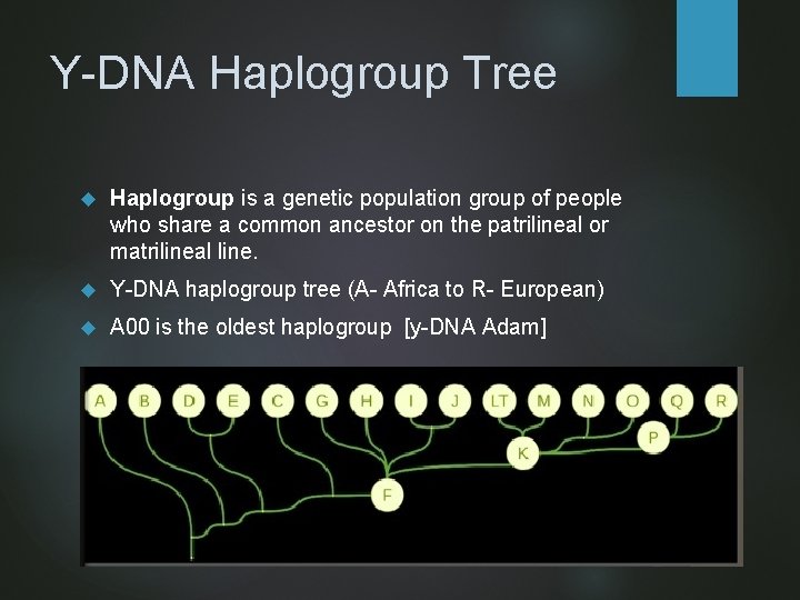 Y-DNA Haplogroup Tree Haplogroup is a genetic population group of people who share a