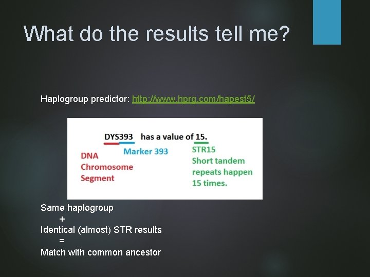 What do the results tell me? Haplogroup predictor: http: //www. hprg. com/hapest 5/ Same