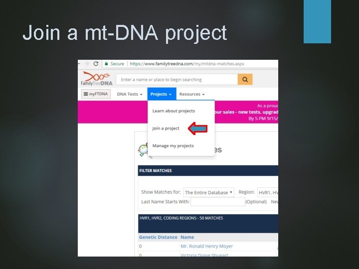 Join a mt-DNA project 