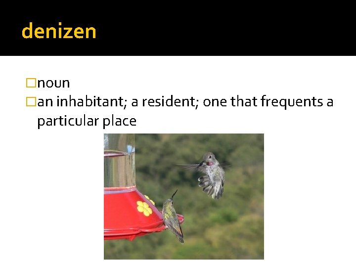denizen �noun �an inhabitant; a resident; one that frequents a particular place 