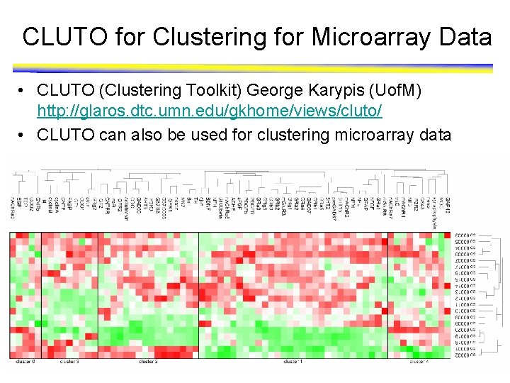 CLUTO for Clustering for Microarray Data • CLUTO (Clustering Toolkit) George Karypis (Uof. M) CLUTO for Clustering for Microarray Data • CLUTO (Clustering Toolkit) George Karypis (Uof. M)