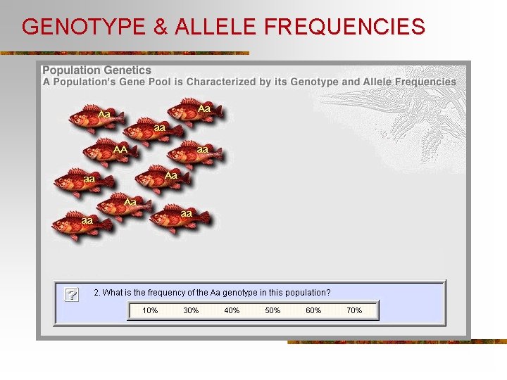 GENOTYPE & ALLELE FREQUENCIES 