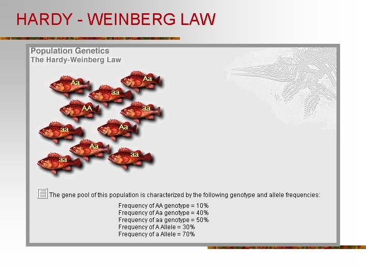 HARDY - WEINBERG LAW 