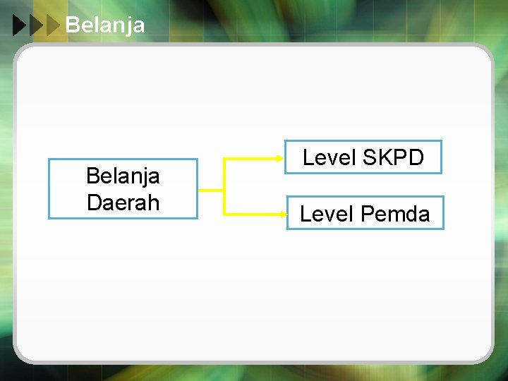 Belanja Daerah Level SKPD Level Pemda 