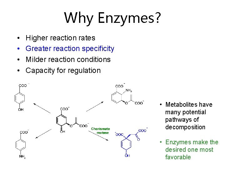 Why Enzymes? • • Higher reaction rates Greater reaction specificity Milder reaction conditions Capacity