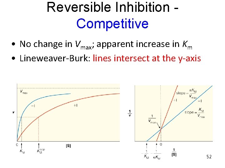 Reversible Inhibition Competitive • No change in Vmax; apparent increase in Km • Lineweaver-Burk: