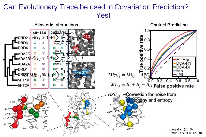 Can Evolutionary Trace be used in Covariation Prediction? Yes! Contact Prediction Allosteric Interactions Sung Can Evolutionary Trace be used in Covariation Prediction? Yes! Contact Prediction Allosteric Interactions Sung