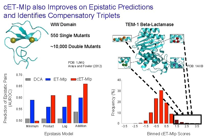 c. ET-MIp also Improves on Epistatic Predictions and Identifies Compensatory Triplets TEM-1 Beta-Lactamase WW