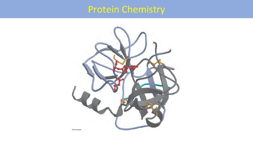 Protein Chemistry 