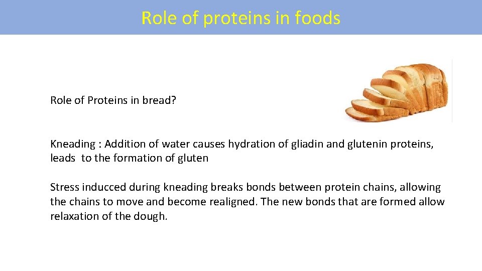Role of proteins in foods Role of Proteins in bread? Kneading : Addition of